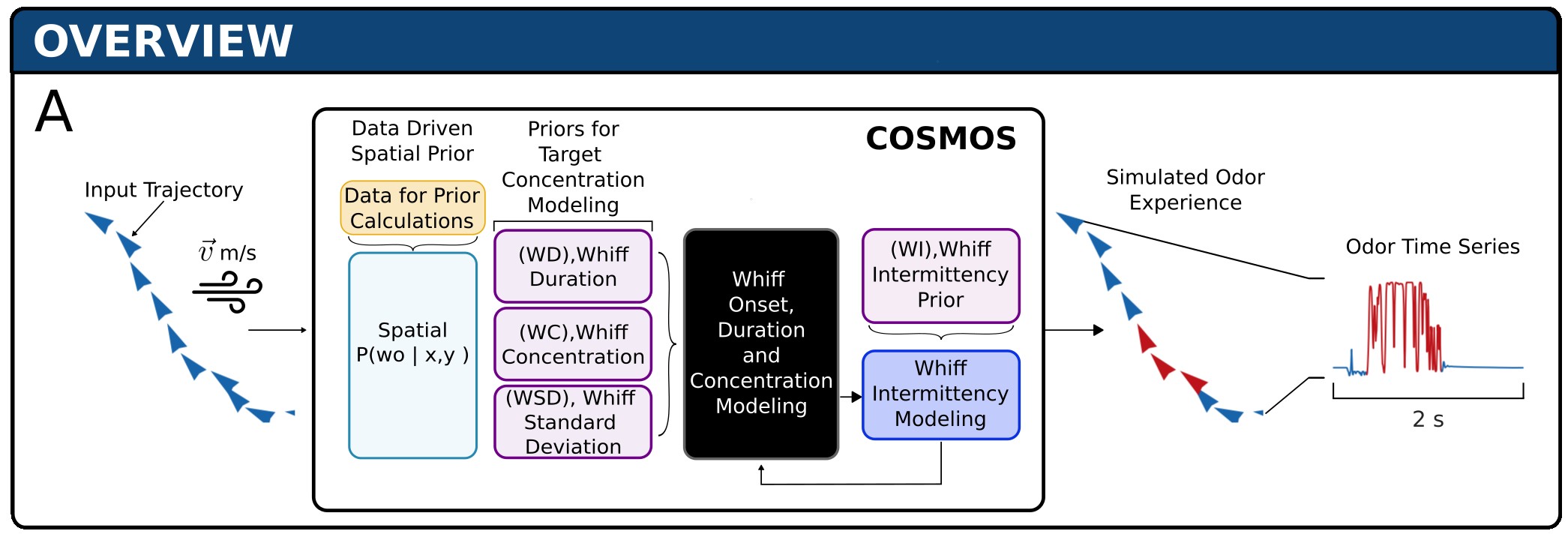 COSMOS